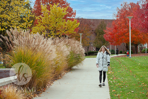 UNH_Promo_04