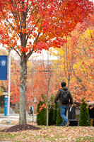 UNH_Promo_06