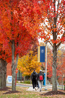 UNH_Promo_10