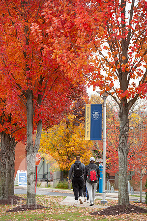 UNH_Promo_10
