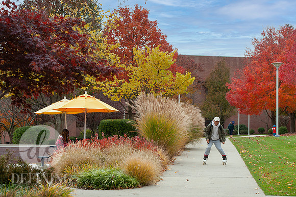 UNH_Promo_12