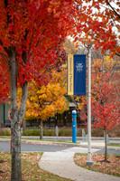 UNH_Promo_16