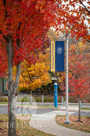UNH_Promo_16