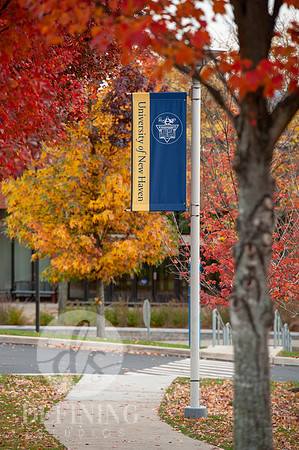 UNH_Promo_17