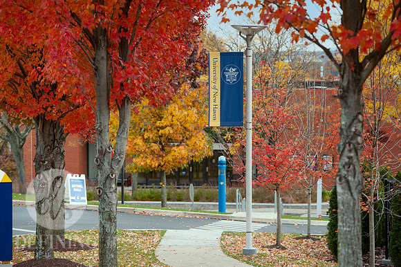 UNH_Promo_18