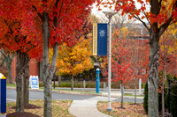 UNH_Promo_19
