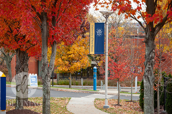 UNH_Promo_19