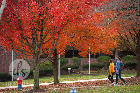 UNH_Promo_26
