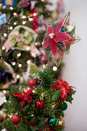 Festival_Of_Trees_118