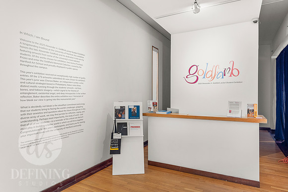 Goldfarb_Installation-64