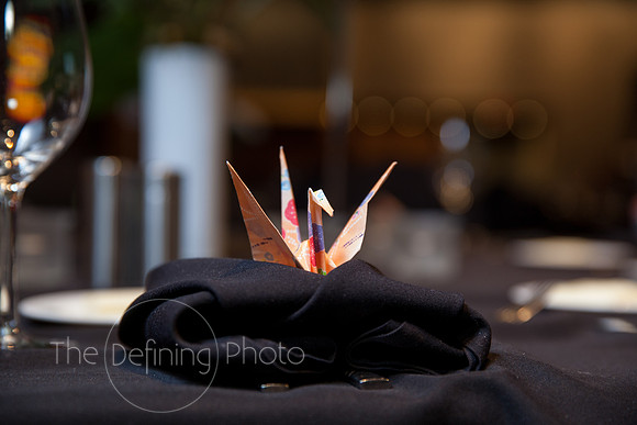 Splendor_Gala_013