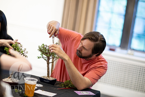 Bonsai_and_Brew_140