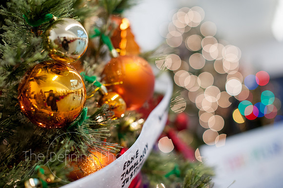 Festival_Of_Trees_121