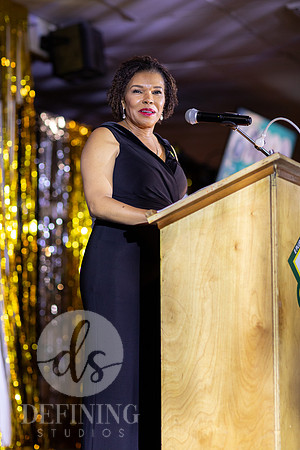 West_Indian_Gala_2024-109