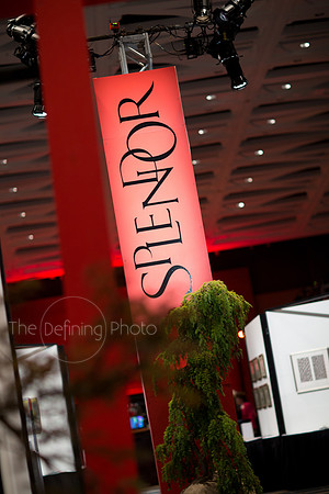 Splendor_Gala_001