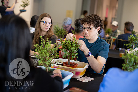 Bonsai_and_Brew_045
