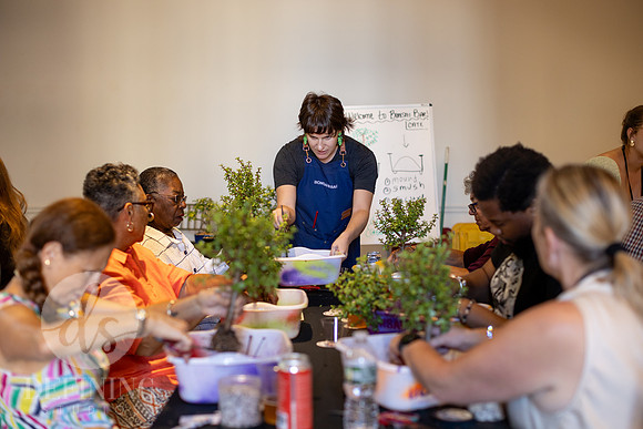 Bonsai_and_Brew_099
