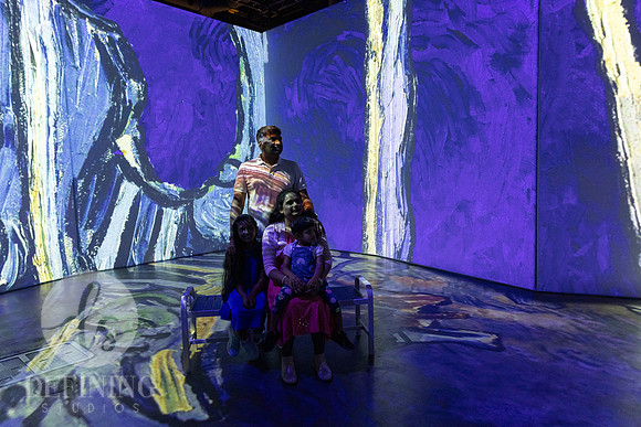 Beyond_Monet-VanGogh-PROOFS-110