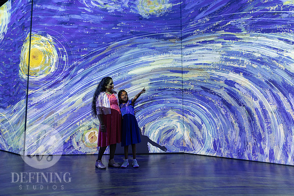 Beyond_Monet-VanGogh-PROOFS-135