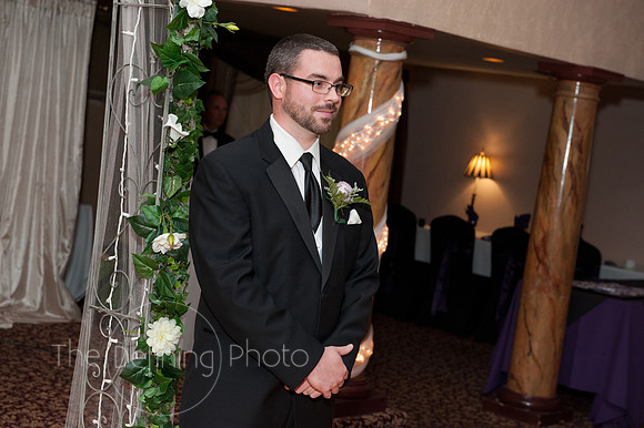 Sheeler_144