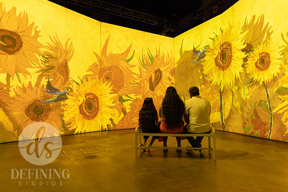 Beyond_Monet-VanGogh-PROOFS-119