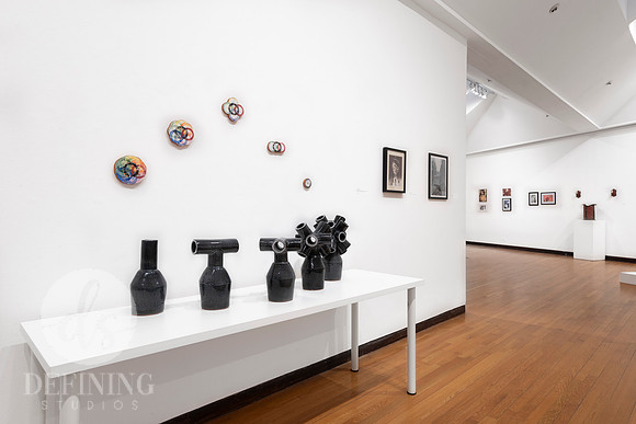 Goldfarb_Installation-29