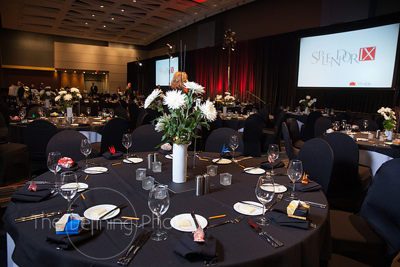Splendor_Gala_009