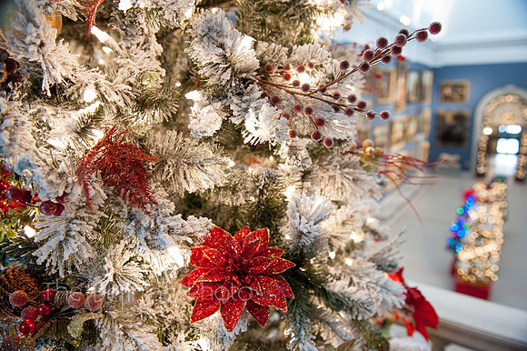 Festival_Of_Trees_077