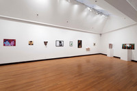 Goldfarb_Installation-13