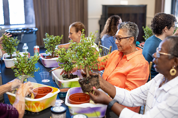 Bonsai_and_Brew_054