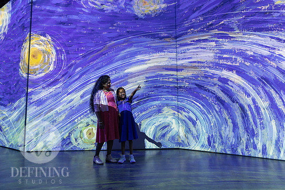 Beyond_Monet-VanGogh-PROOFS-134