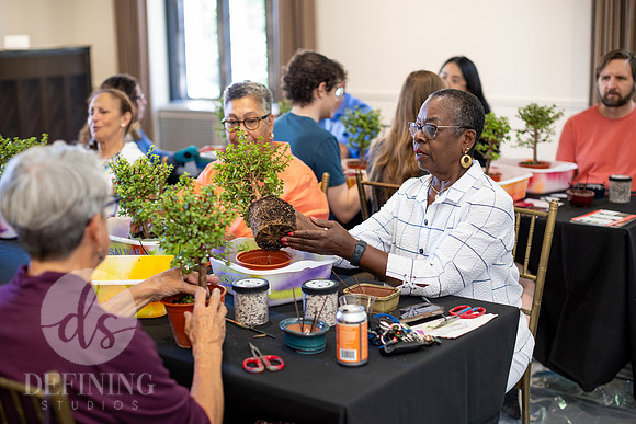 Bonsai_and_Brew_053
