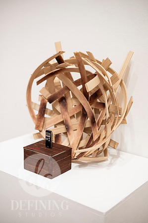 Goldfarb_Installation-68