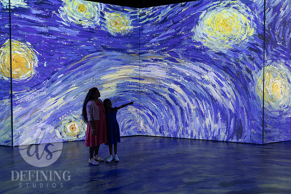 Beyond_Monet-VanGogh-PROOFS-138