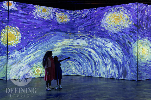 Beyond_Monet-VanGogh-PROOFS-139