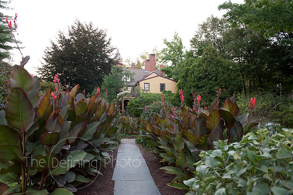 Summer_Gala_154