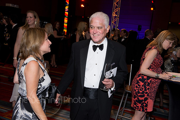 Splendor_2013_174