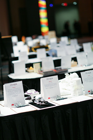 Splendor_Gala_029