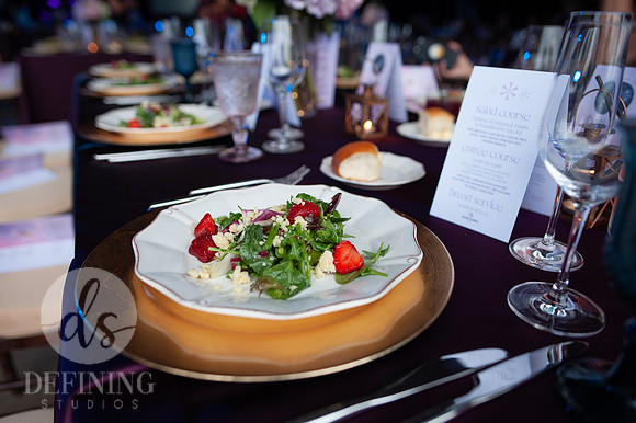 Ovationa_Gala_290