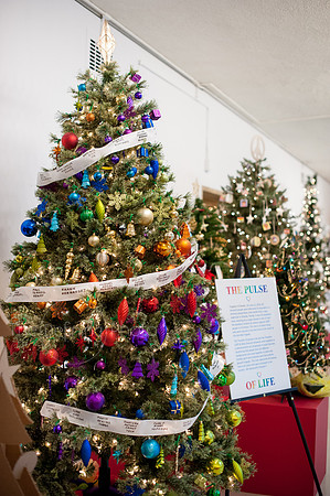 Festival_Of_Trees_120