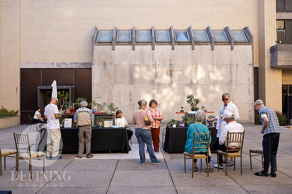 Bonsai_and_Brew_085