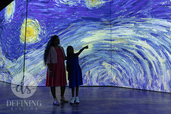 Beyond_Monet-VanGogh-PROOFS-137