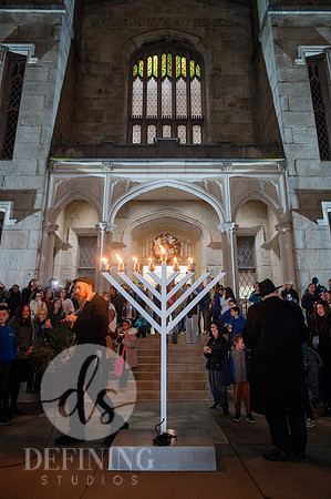 Festival_Of_Lights_031