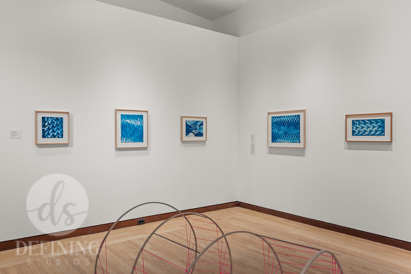 Feb_2025_Galleries_016