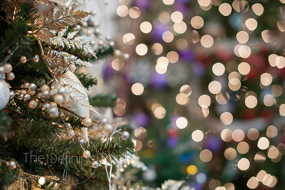 Festival_Of_Trees_109