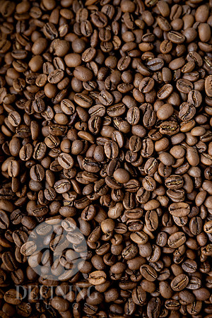 JRene_Coffee_Roasters_086