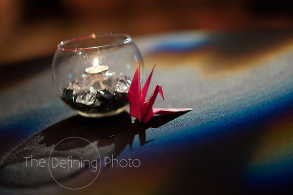 Splendor_Gala_028