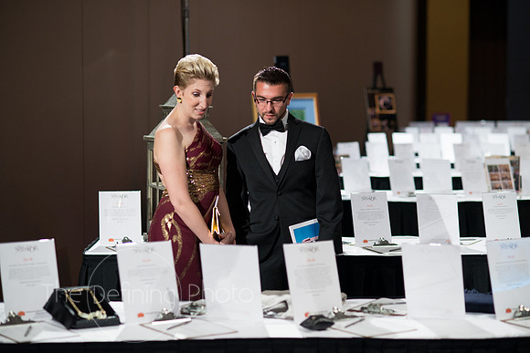 Splendor_2013_071