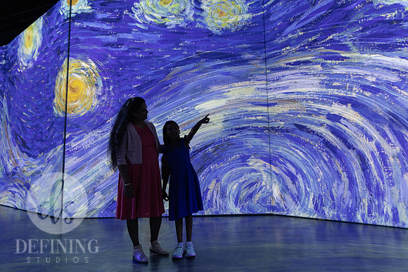 Beyond_Monet-VanGogh-PROOFS-136