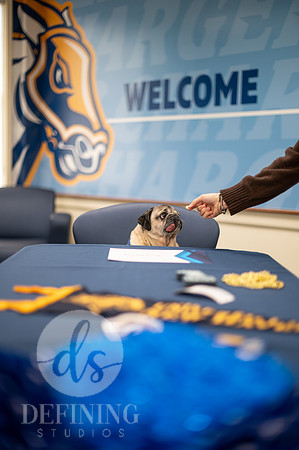 Doug_The_Pug_006